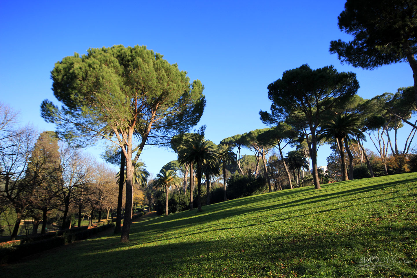 Villa Ada, Rome